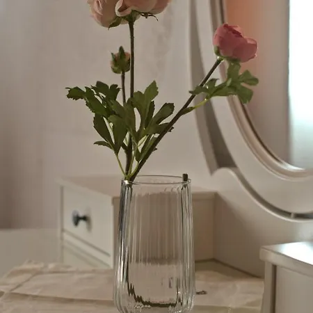 Haus Ronna アパート